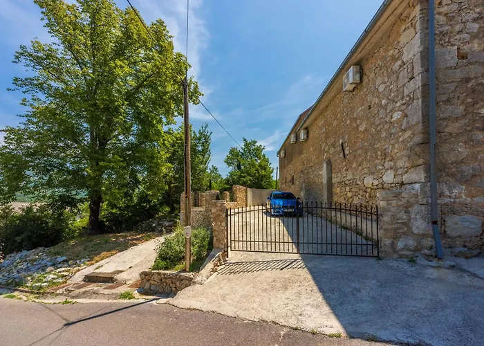 Lisko Nyaraló Tribalj